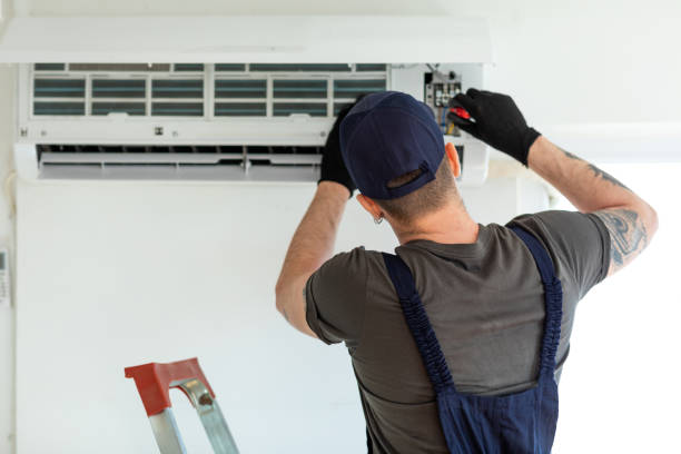 Best Air Duct Mold Removal  in Chilton, WI